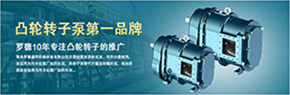 羅德轉(zhuǎn)子泵與南方某電機(jī)廠家技術(shù)交流，討論合作.