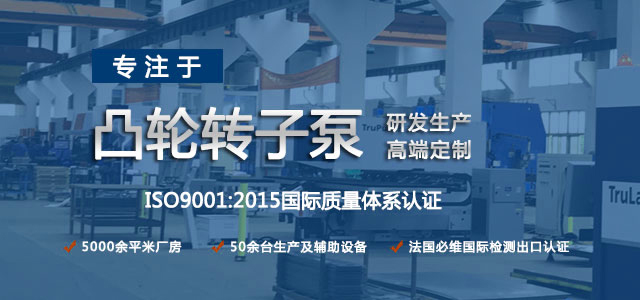 凸輪轉(zhuǎn)子泵生產(chǎn)廠家，專注于凸輪轉(zhuǎn)子泵的研發(fā)生產(chǎn)，高端定制